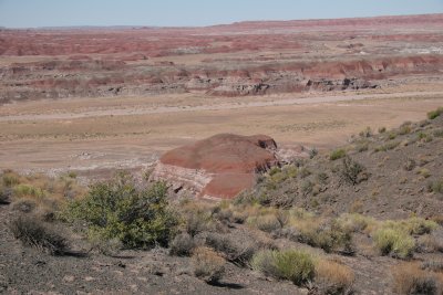 Painted desert vista