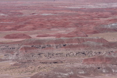 Painted desert vista