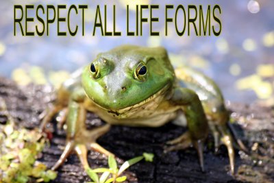 Respect all life forms