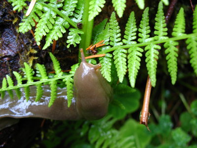 g1/83/758783/3/115550329.e6n5ZnOh.jpg