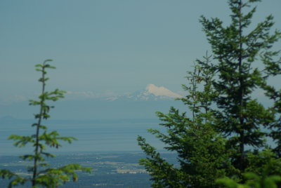 g1/83/758783/3/115553381.YsZwM6Zi.jpg