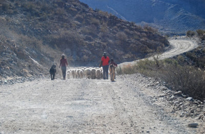 Northwest Argentina. Ravines, valleys.. and a soul within.