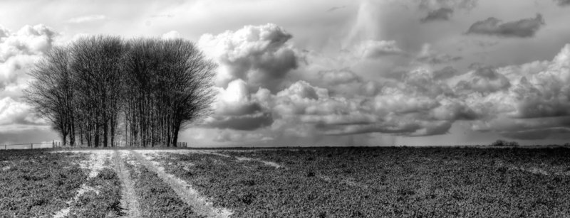 Spring Skies