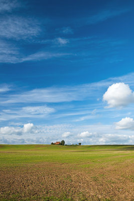 House On The Hill