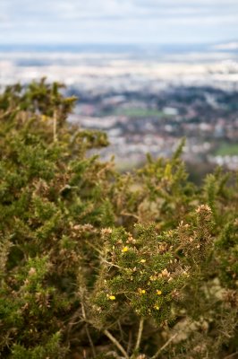 Hilltop Vista