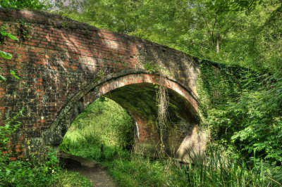 Verdant Track