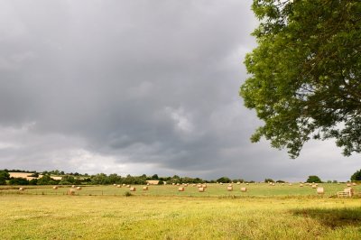g1/83/775383/3/126596143.dmgfNnm5.jpg