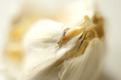 2nd - Allium Sativum
