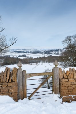 A (Winter's) Look Over The Gate