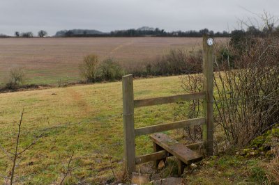 g1/83/775383/3/131611098.nycMxAm3.jpg