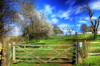 Spring Gate