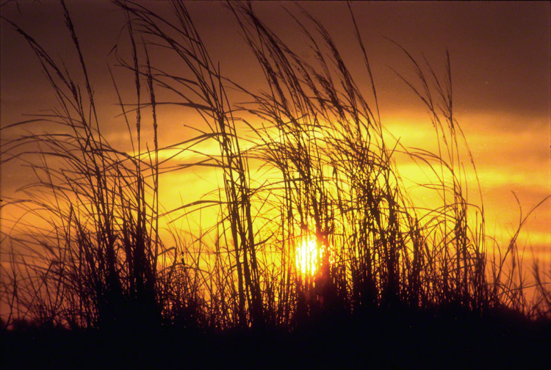 Sunset Over Jockeys Ridge on the Outer Banks of NC