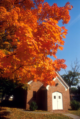 Fall Leaves at a Catholic Church