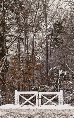 Gates After Snow