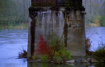 Skagit River - train bridge