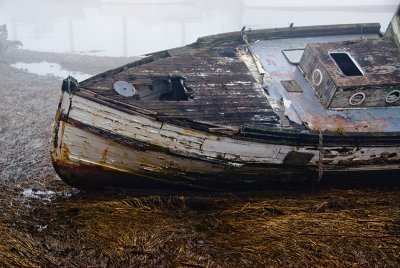 Derelict - Samish River, Washington