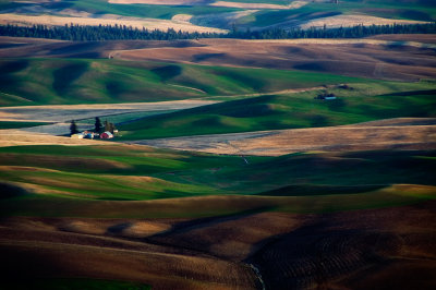 Palouse
