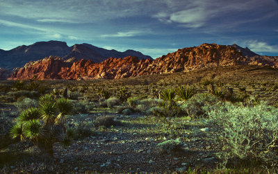 Tanks at Red Rocks, Nevada