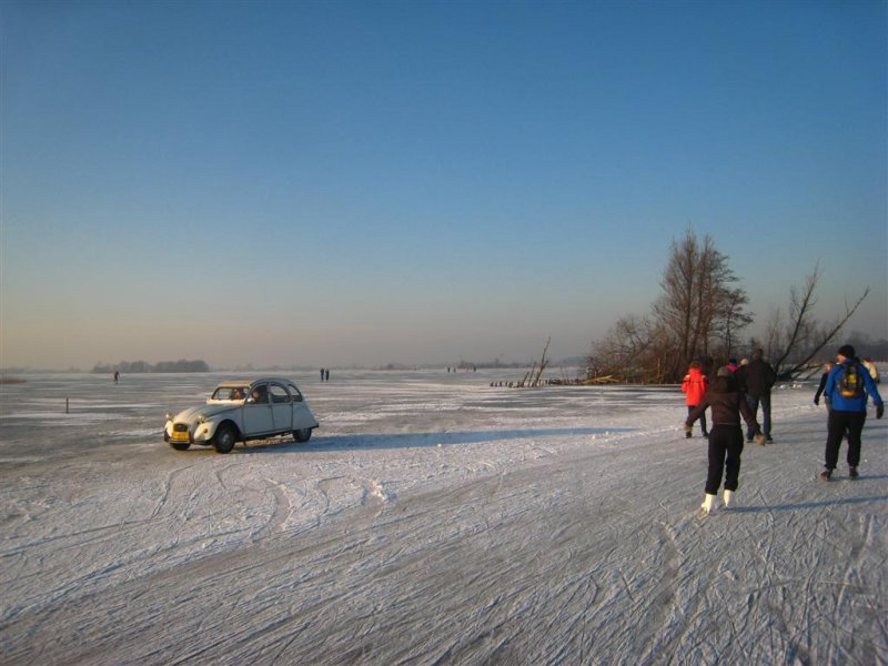 019 - Loosdrecht: het ijs kan deze eend gemakkelijk dragen