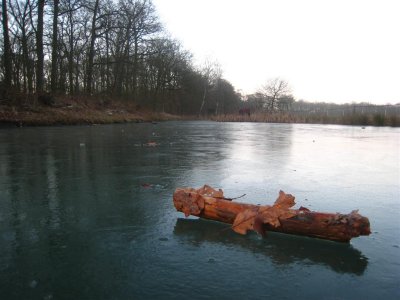 047 - Houdringe: sfeeropname vanaf het ijs de andere kant op