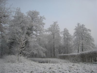 045 - De Bilt: zware uitsneeuwende mist bij de Biltse Rading