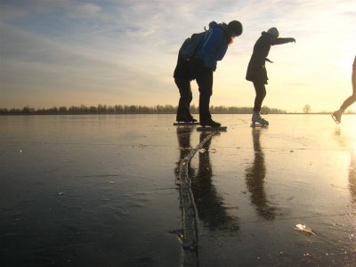 Oostvaardersplassen 122