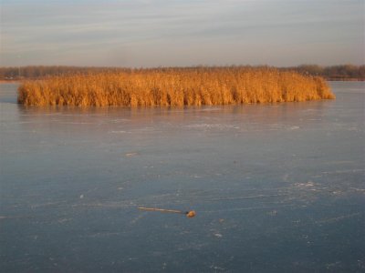 g1/83/847383/3/108078400.IHExS0aK.jpg