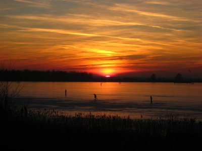 Oostvaardersplassen 187