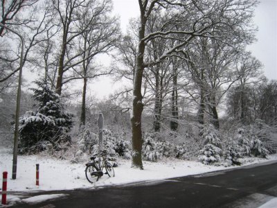 8 february 2007 - Snow, De Bilt