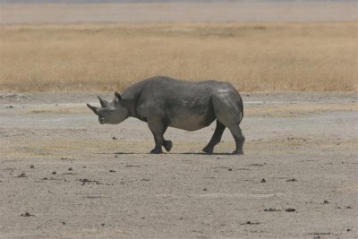 Tanzania, Safari - Oktober 2006 - 1057