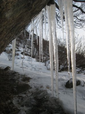 Ixus_127