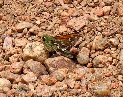 g1/83/894783/3/108357790.r9AuuG9f.jpg