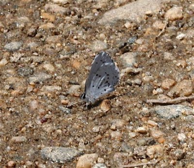 Spring Azure