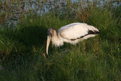 g1/83/902683/3/111090033.ypEno1sn.jpg