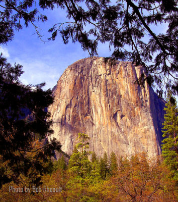Yosemite National Park (8).jpg