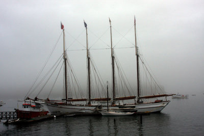 Bar Harbor