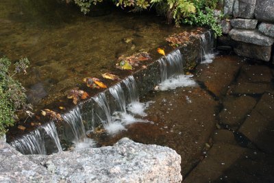 Asticou Gardens