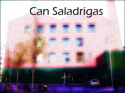 Can Saladrigas