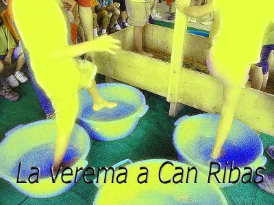 La verema a Can Ribas