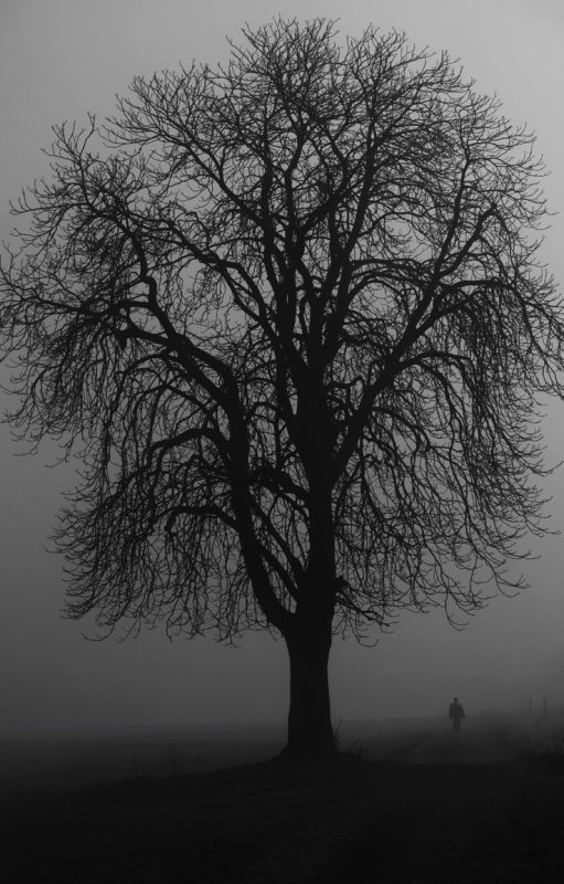 sorrow