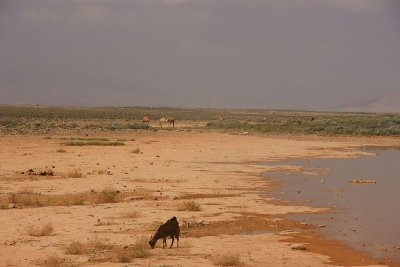 03.jpg