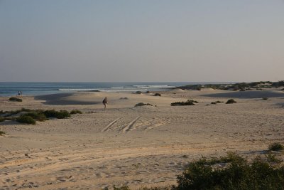 80.jpg