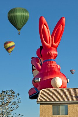 Energizer Bunny takes a Fiesta Siesta