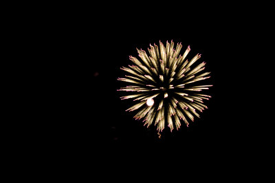 IMG_5484a.jpg