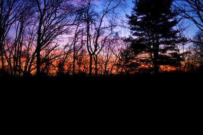 IMG_5091a.jpg