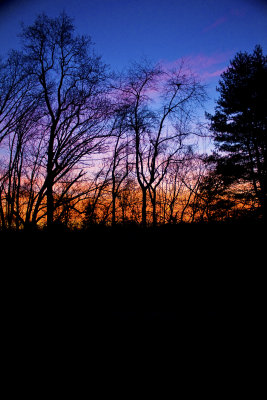 IMG_5100a.jpg