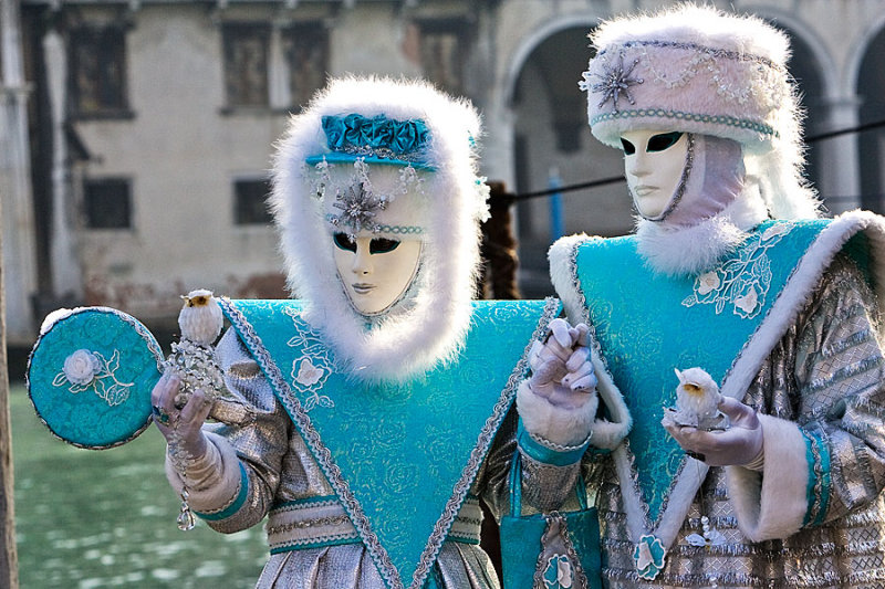  Owls next to the Grand Canal