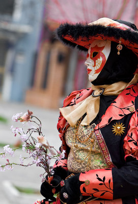 Warmth and Delicacy graces Burano