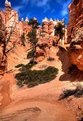 Navajo Trail Hoodoos