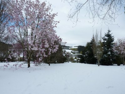 P1010865.JPG
